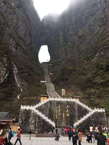 张家界奇幻之旅 探秘人间仙境的自然奇观与旅行指南