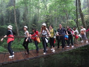 张家界旅游全攻略 注意事项、必买特产与经典游玩路线