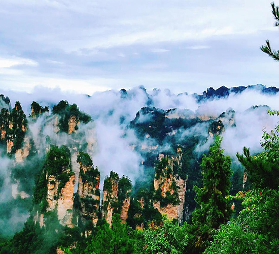 张家界葛根粉 山水间的自然馈赠，旅途中的养生珍品